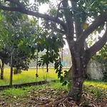 Quarto Privativo Rodeado Pela Natureza - Oceania