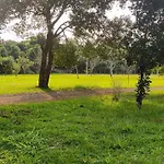 Quarto Privativo Rodeado Pela Natureza - Oceania