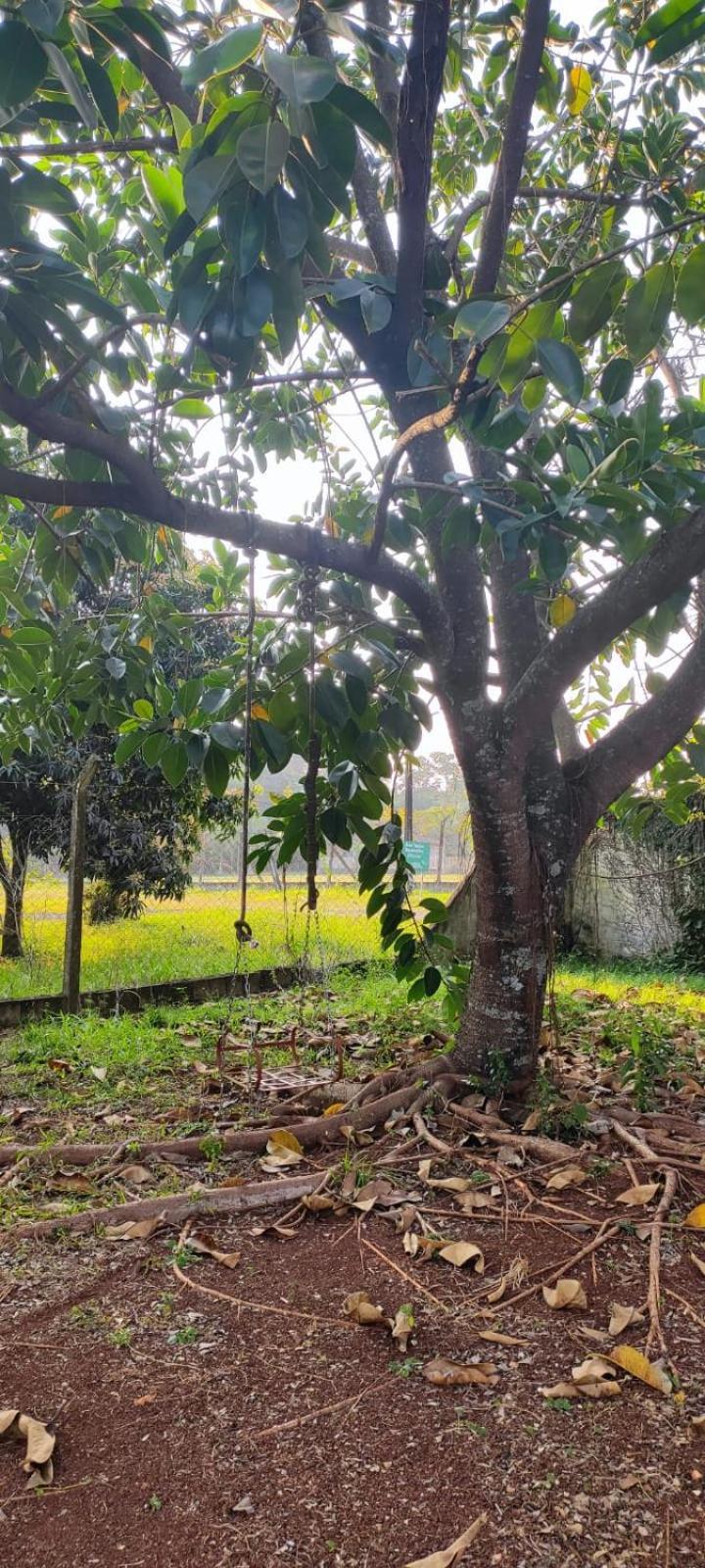Privativo Rodeado Pela Natureza - Oceania *